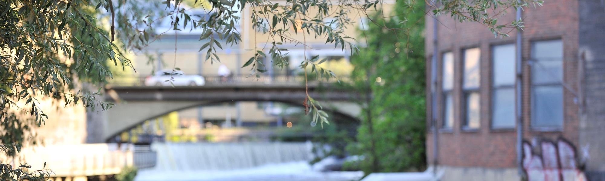Kvistar i förgrunden mot en bakgrund med hus, en bro och vattenfall